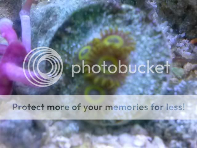 CAM00466.jpg
