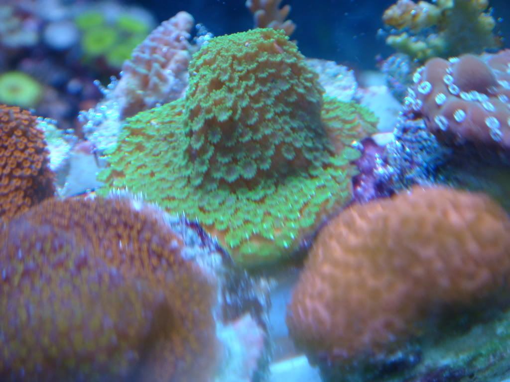 DSC01234.jpg