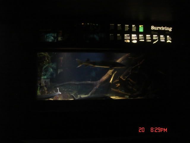 DSC01360.jpg