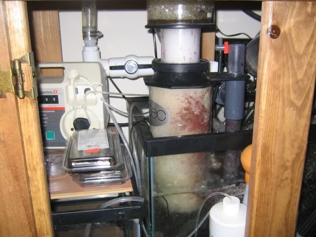 sump002.jpg