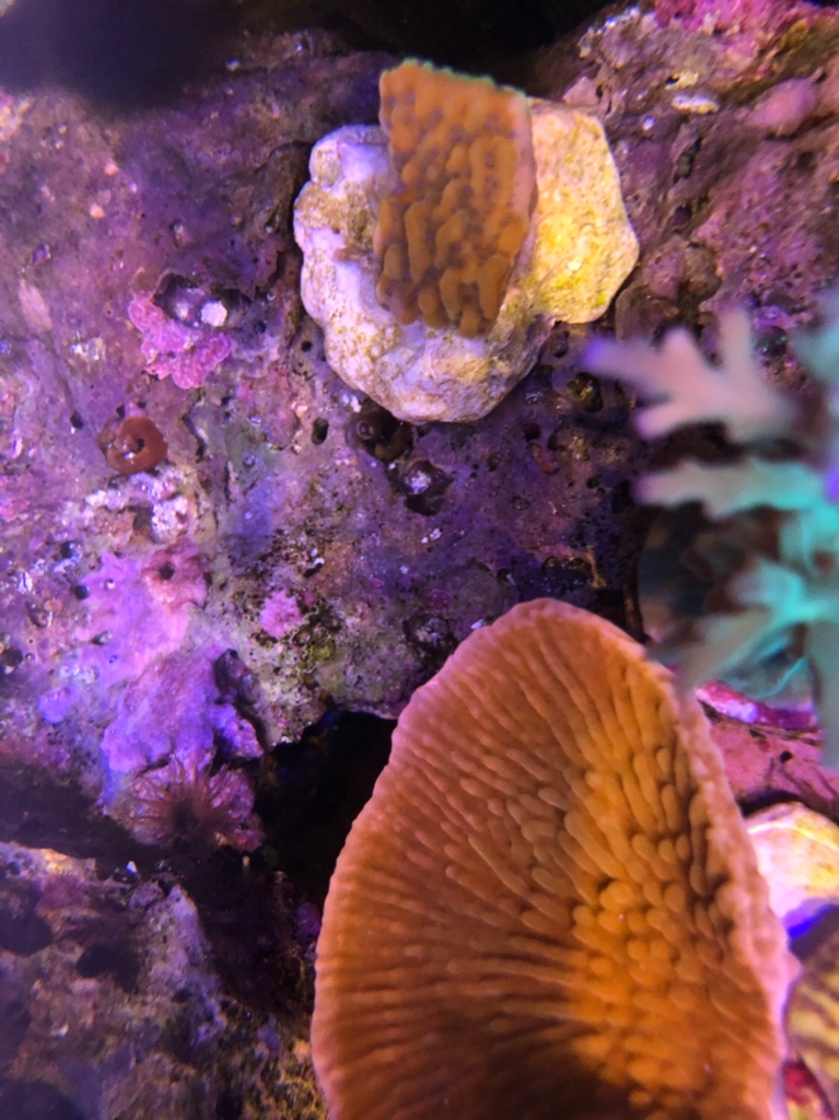 45226adcf3cc624f0a1a5f47b12aca22.jpg