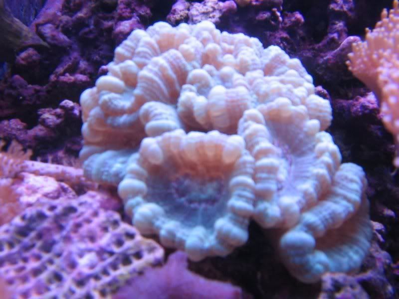 2-23-07February129.jpg