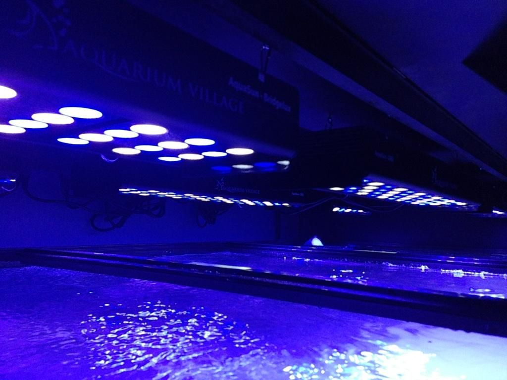 IMG_0841_zps20daa21c.jpg