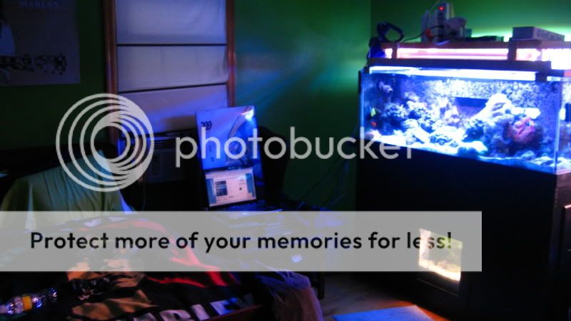 IMG_4641.jpg