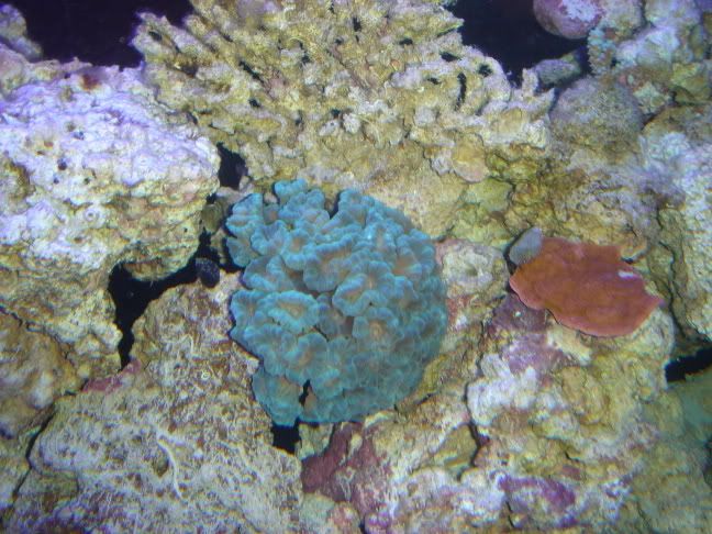 DSC00320.jpg