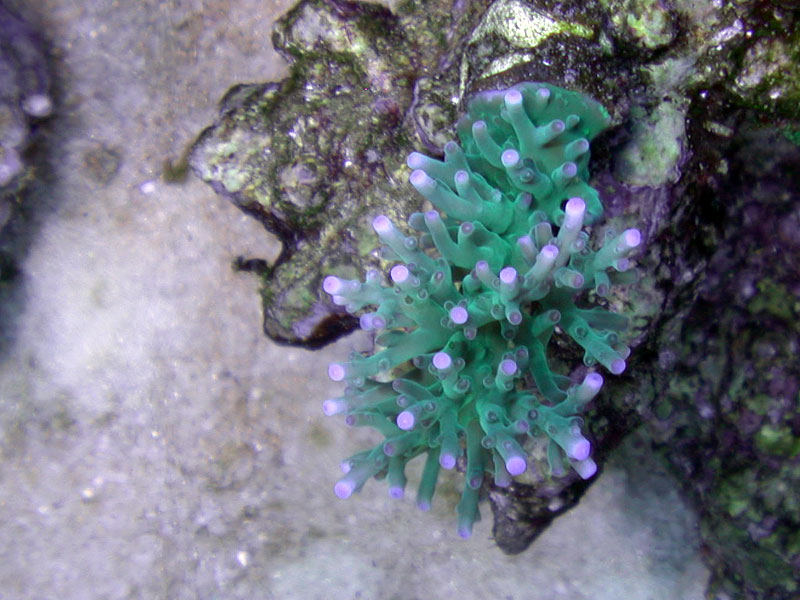 DSCN3585.jpg