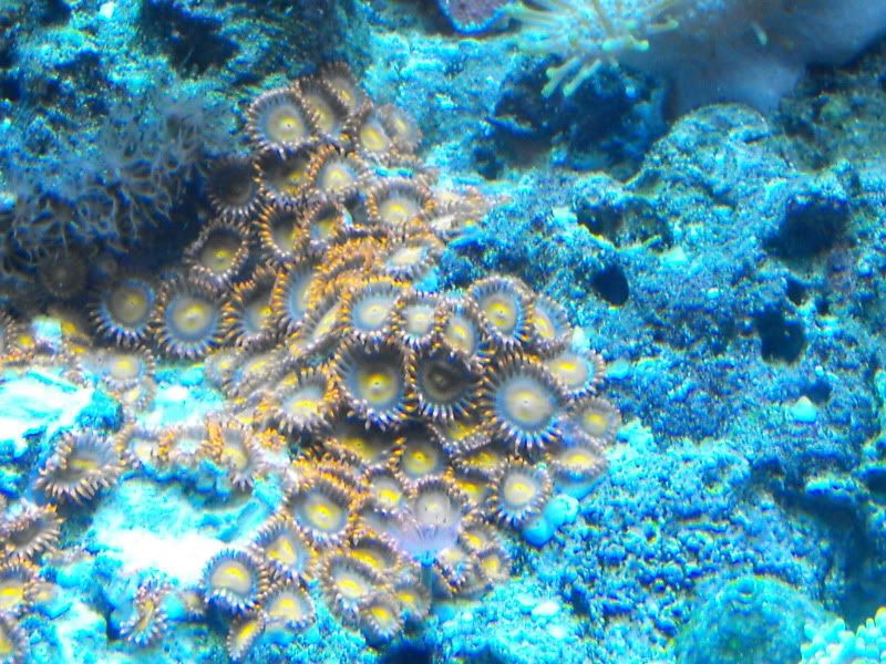 DSCF0951.jpg
