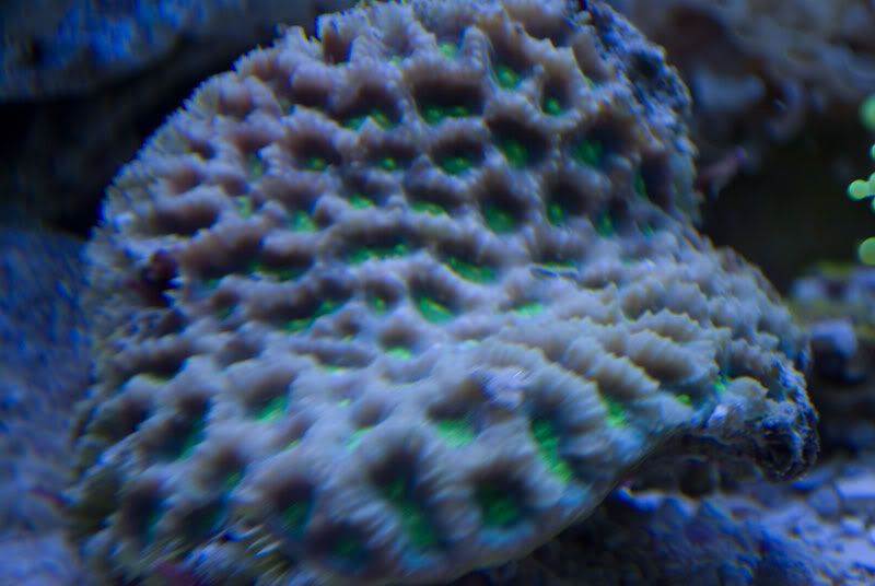 DSC_0138.jpg