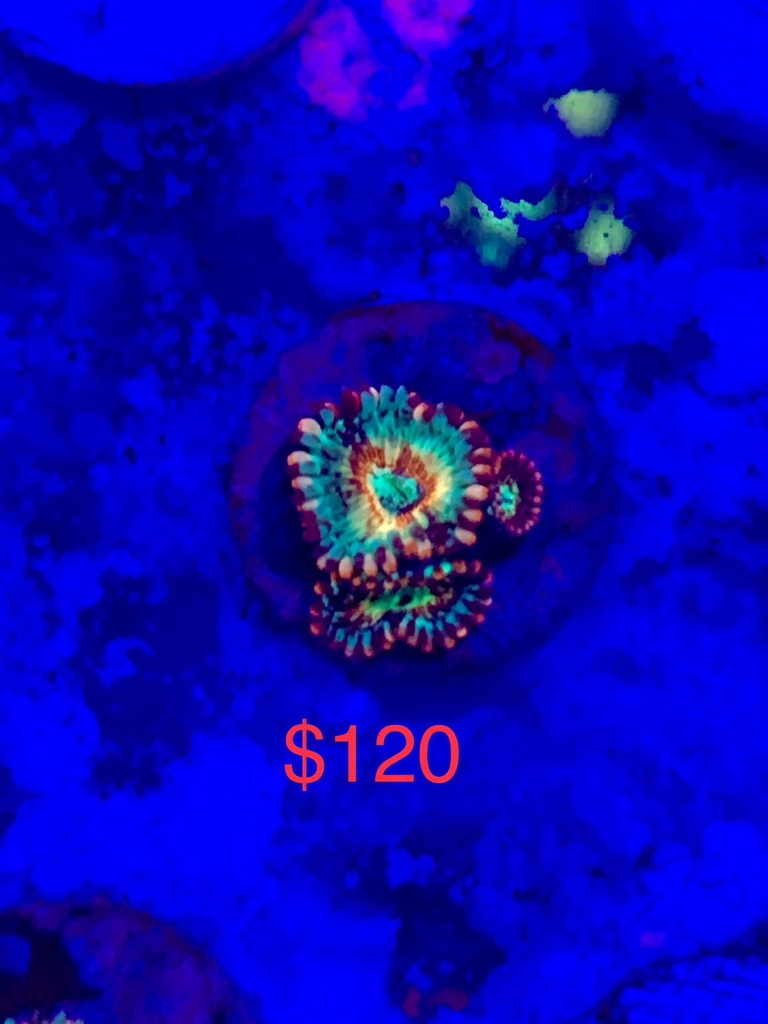 1a2a8e28c7af140574a1b6dd95a9e24e.jpg