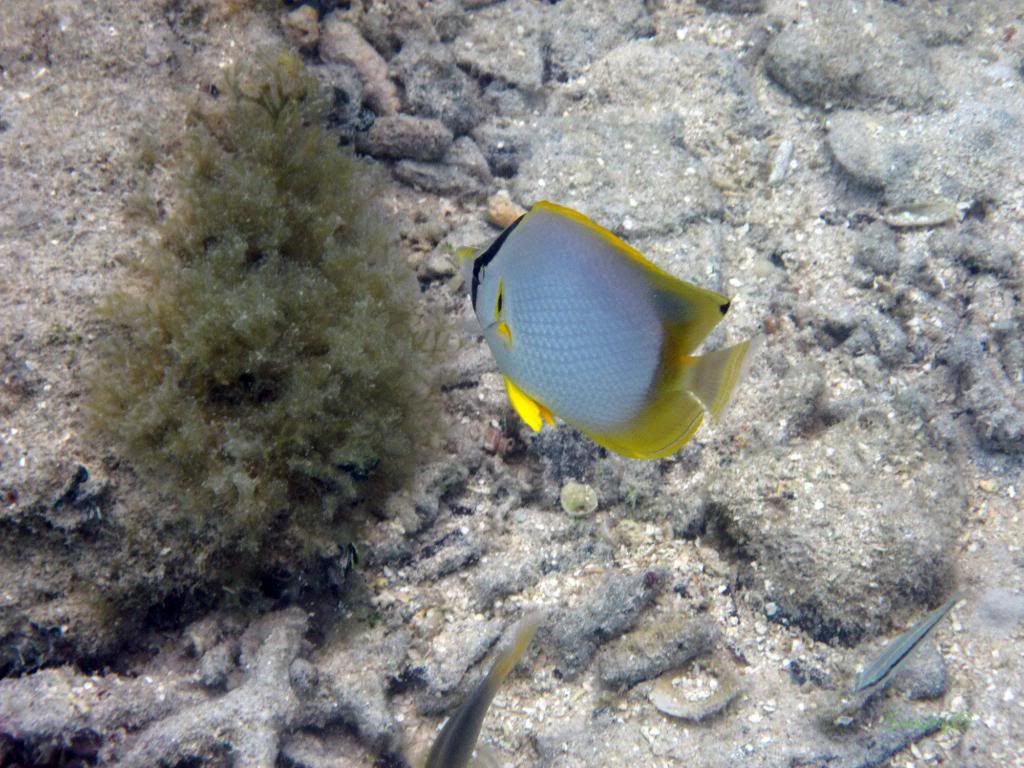 IMG_0557.jpg