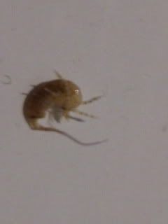 IMG_1023.jpg