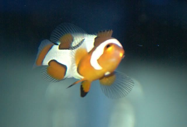 DSC_1475.jpg