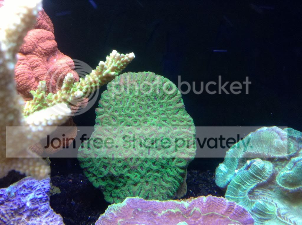 image_zps9365f829.jpg