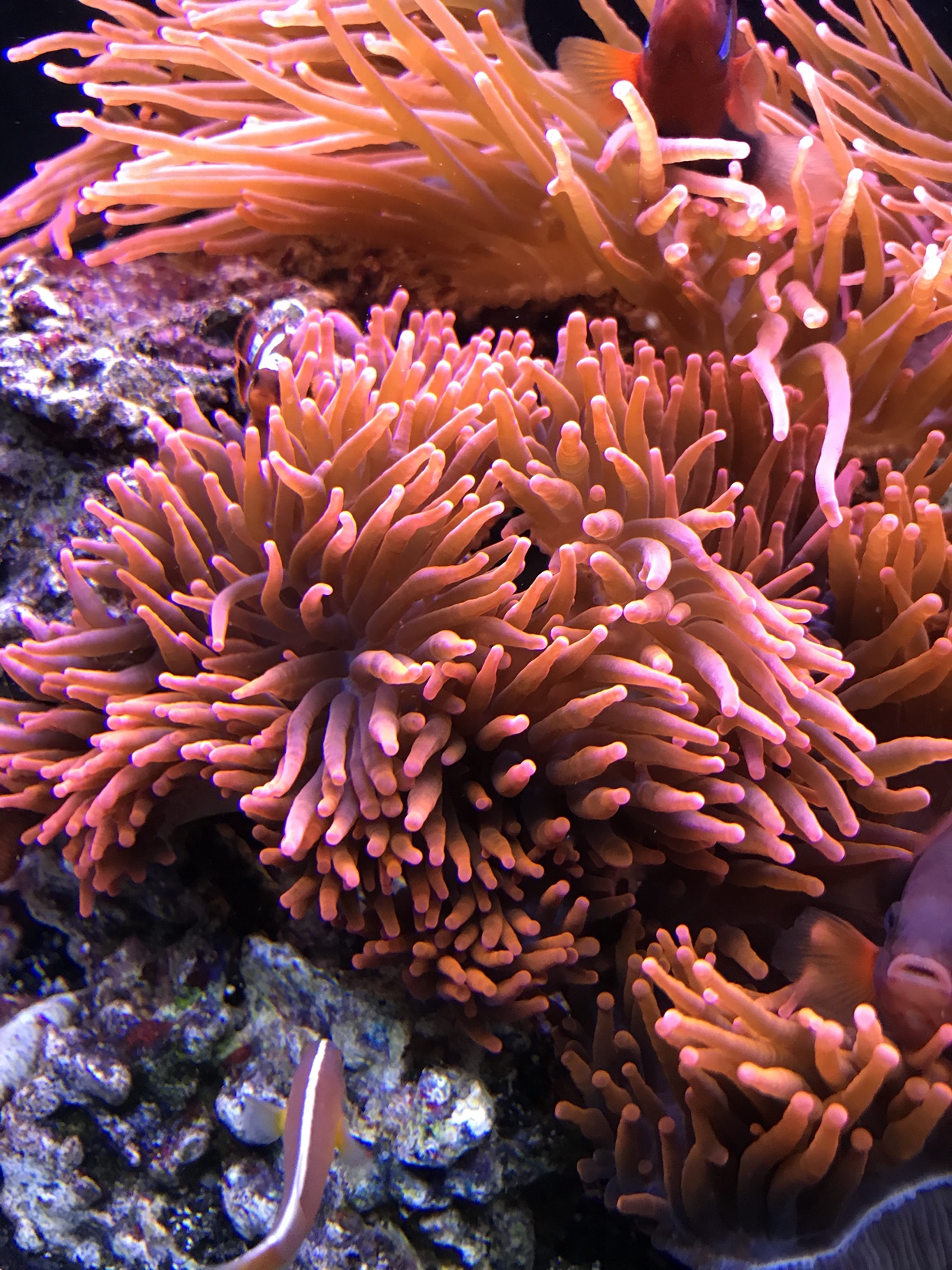 e373577d5f576230861893b926321c7b.jpg