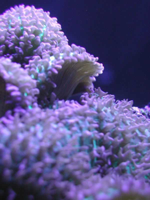 P1010163.jpg