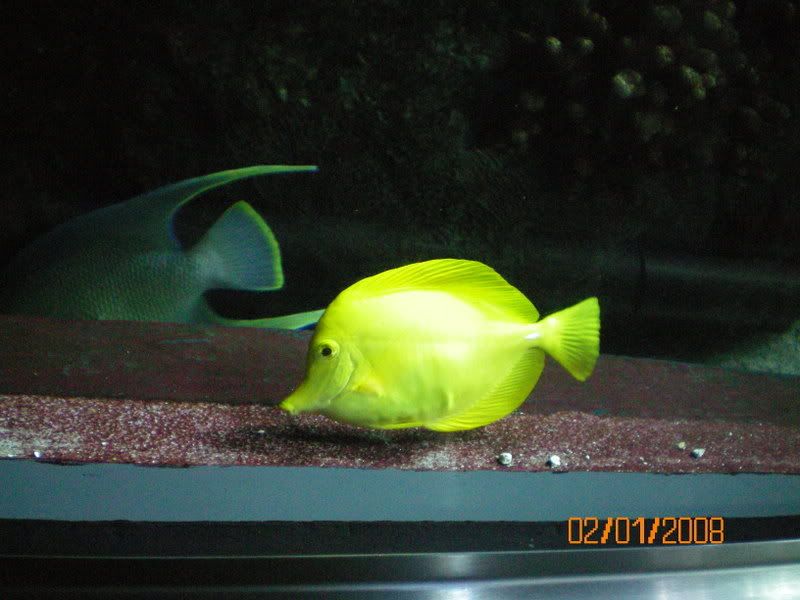 100_0118.jpg