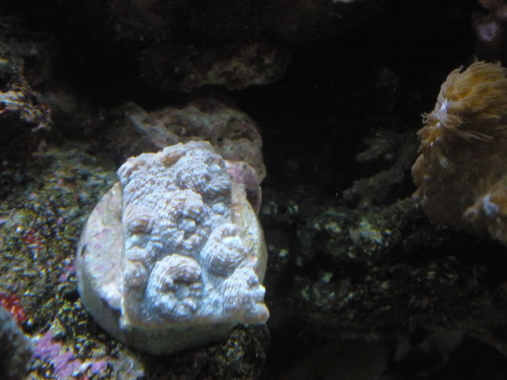 P7050023.jpg