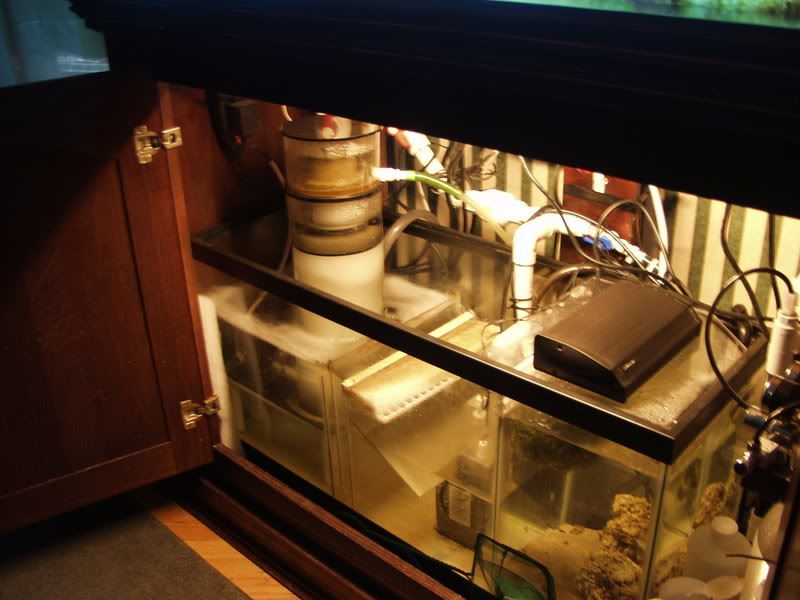jan202008009.jpg