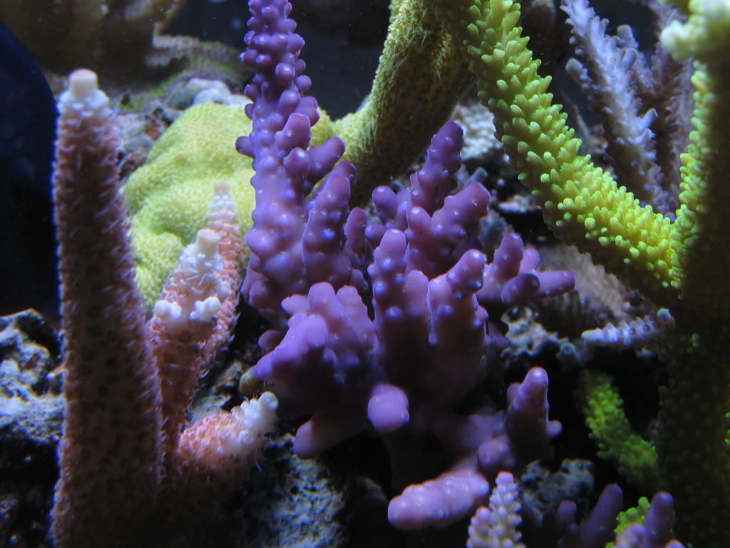 IMG_1026.jpg