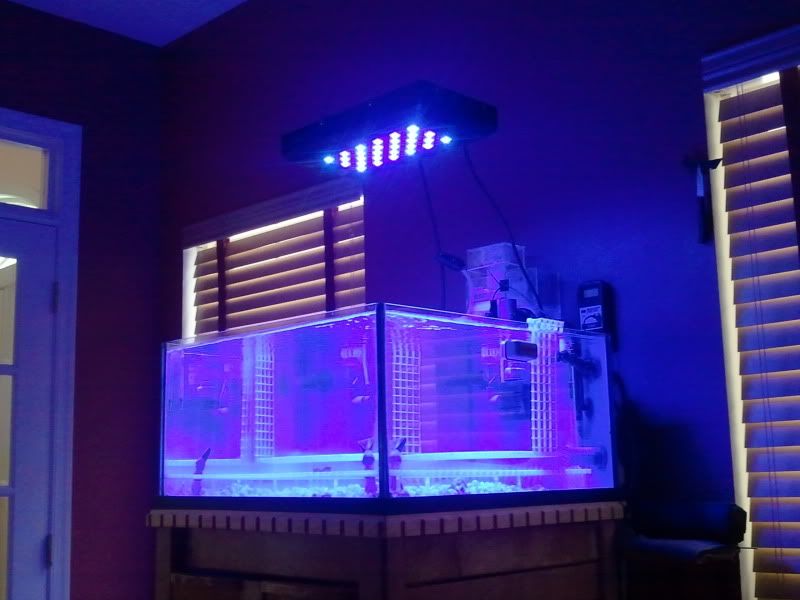 2013-01-28090648.jpg