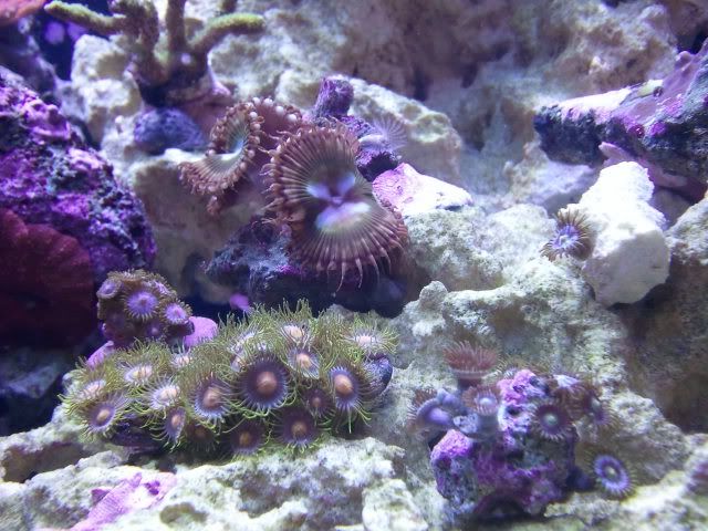 2011-02-06_135339.jpg