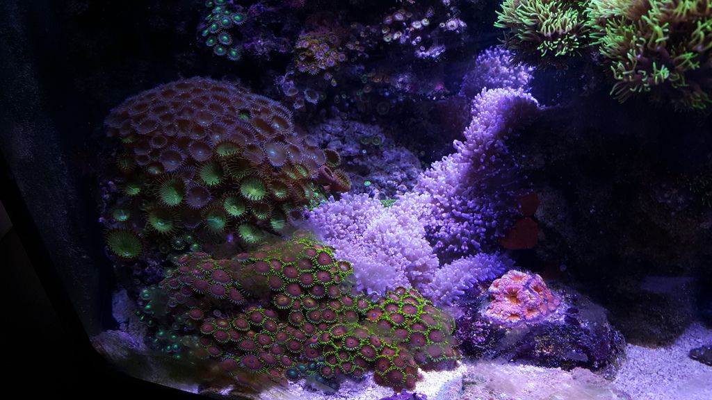 20150601_164129.jpg