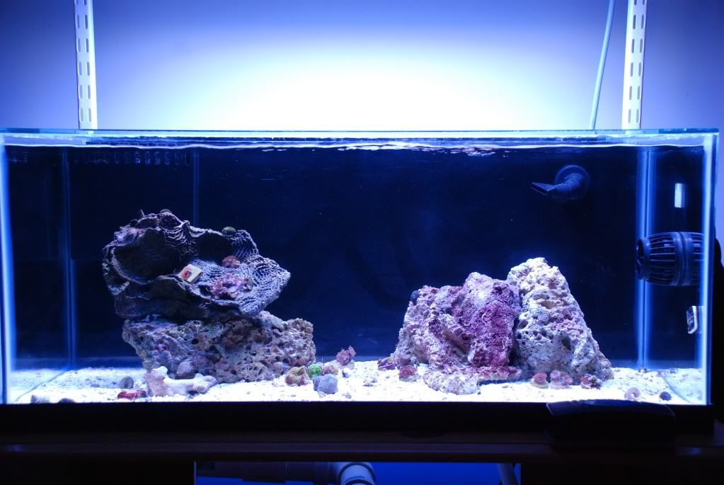 DSC_1157.jpg