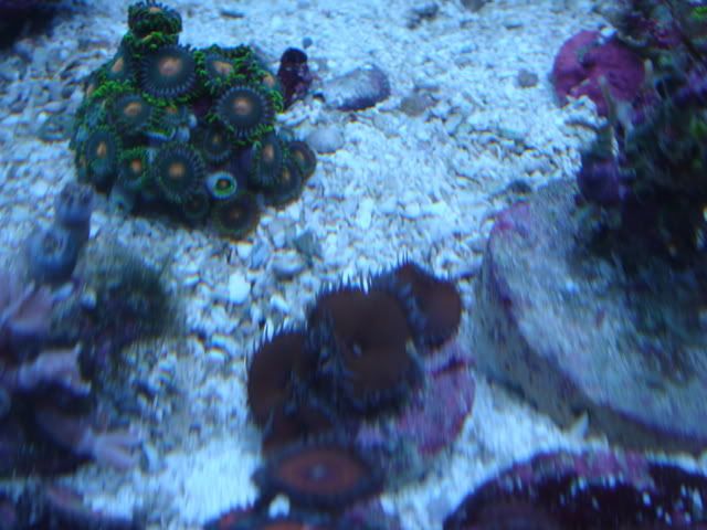 DSC01625.jpg