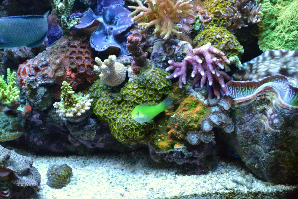 d3100newrockwork020.jpg