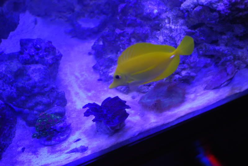 DSC_2335.jpg