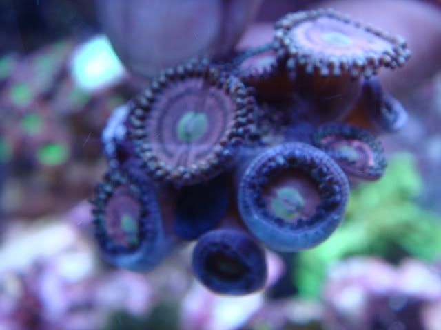 DSC01640.jpg