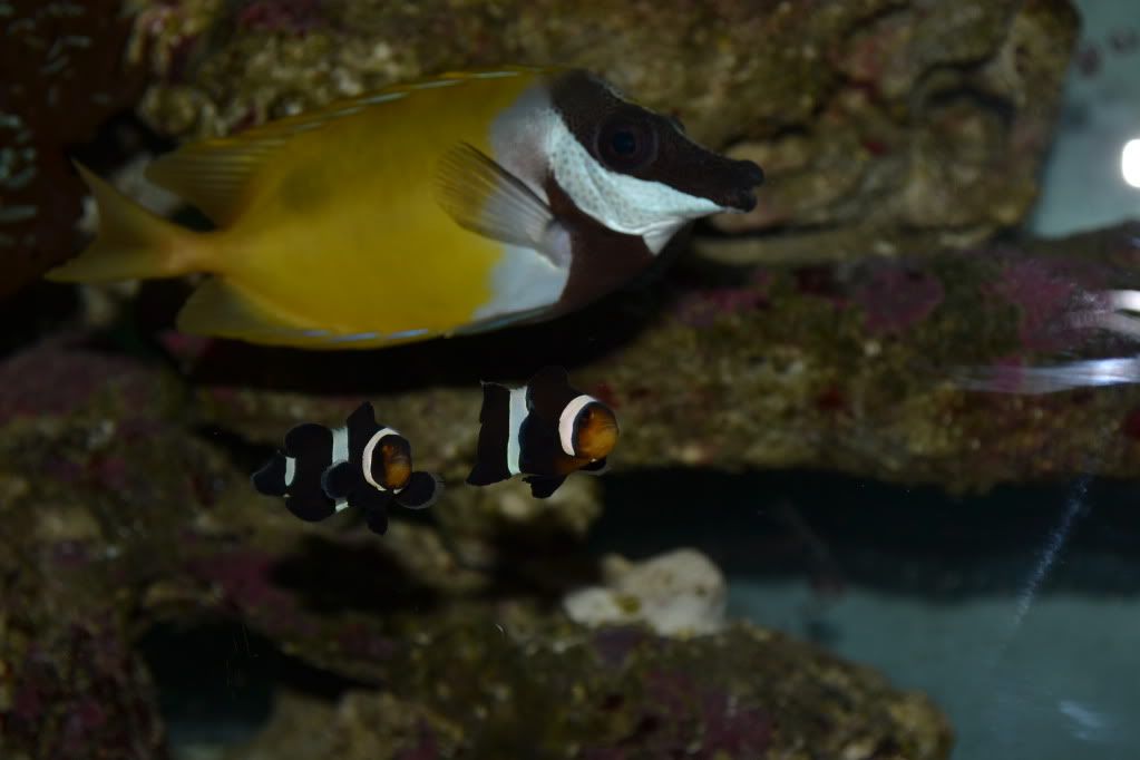 DSC_0005-1.jpg