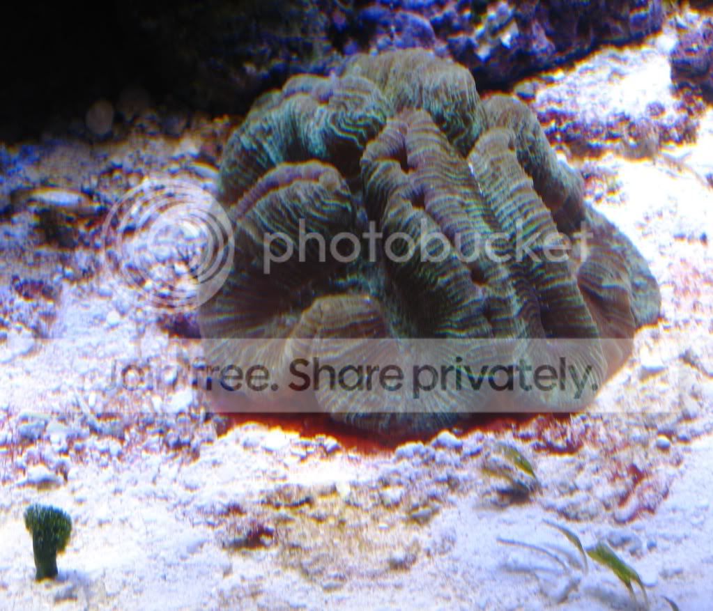 IMG_2890.jpg
