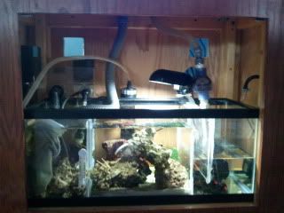 2011-01-20112236.jpg