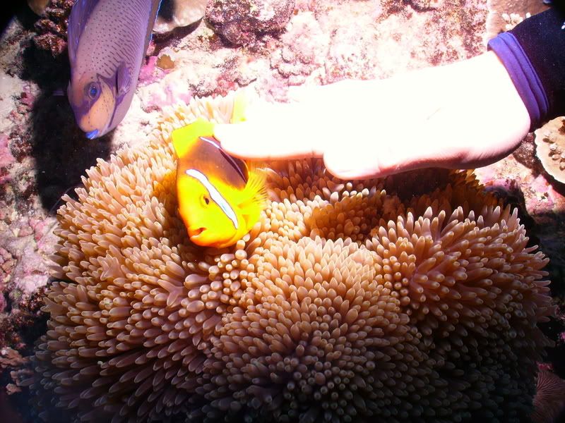 PICT0034.jpg