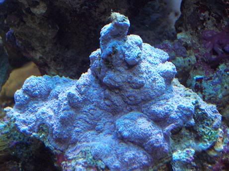 100_0707.jpg