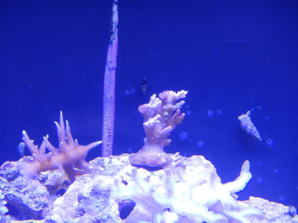 DSCN0238.jpg