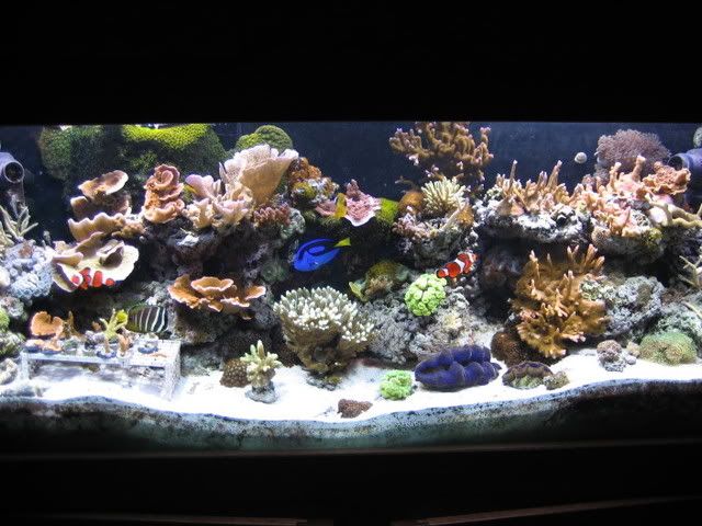 2006_08_21025.jpg