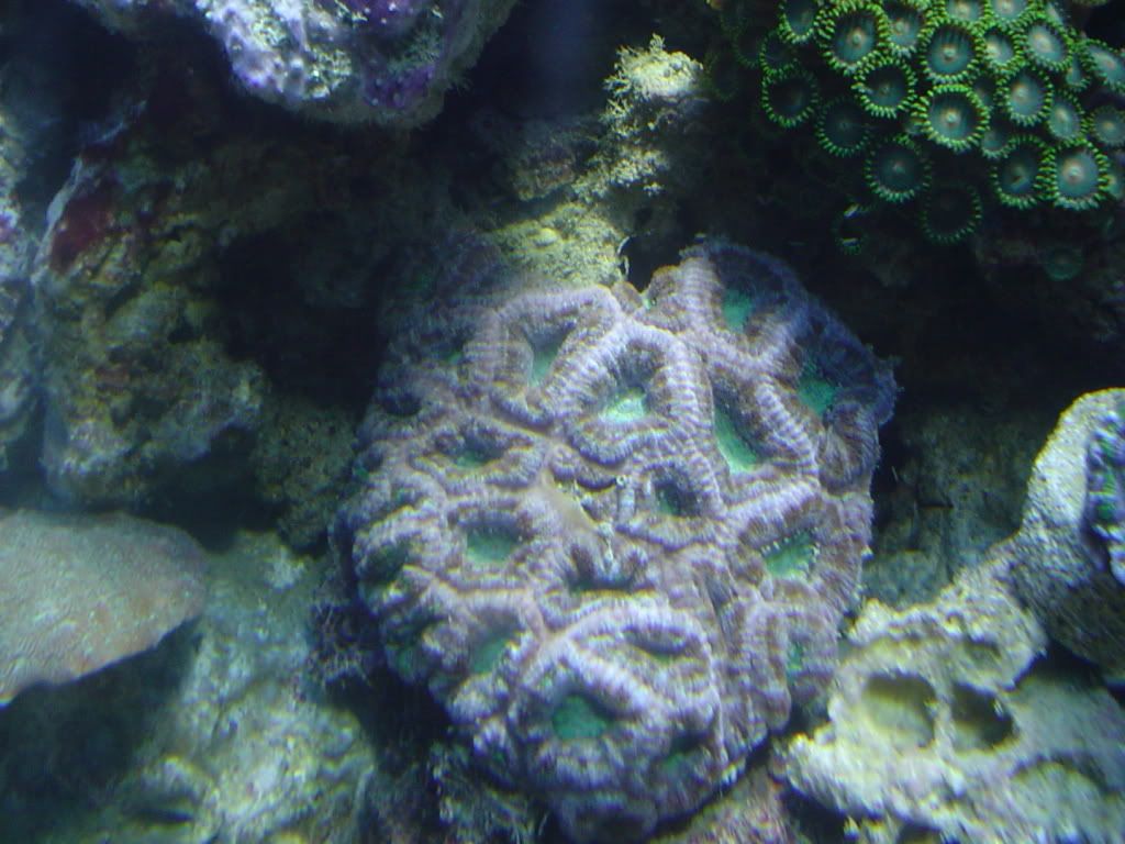 Picture003-1.jpg
