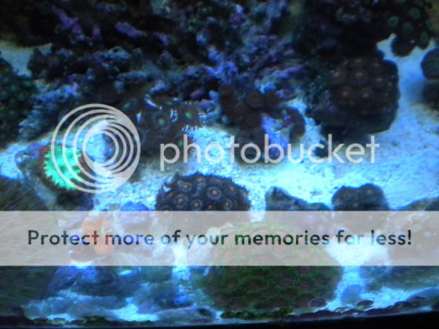DSCN1431.jpg