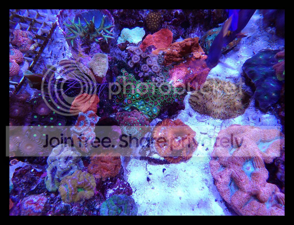 PC130048_zpswdn0blvl.jpg