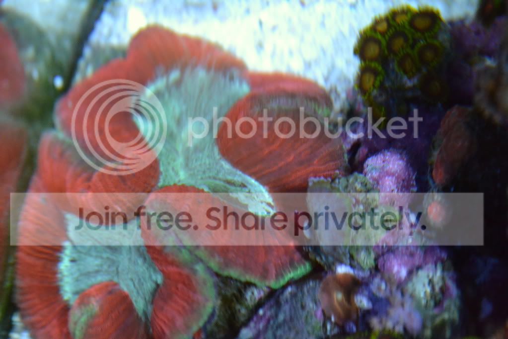 nanoforsale037.jpg