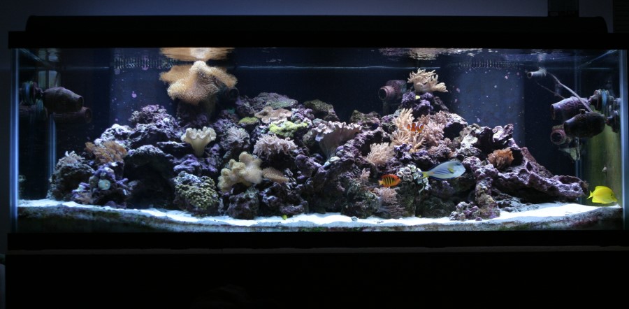 180g-001.jpg