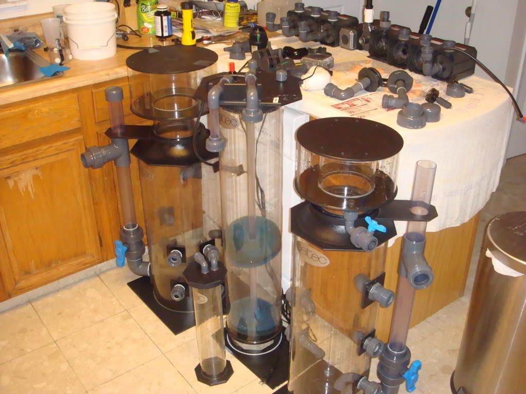 Picture108.jpg