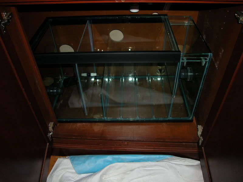 DSCN2496.jpg