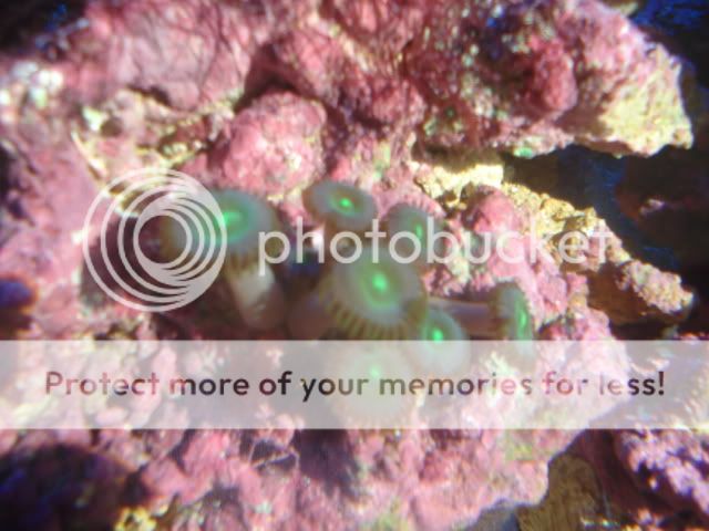 DSC06330.jpg