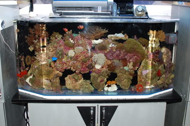 DSC_0013.jpg