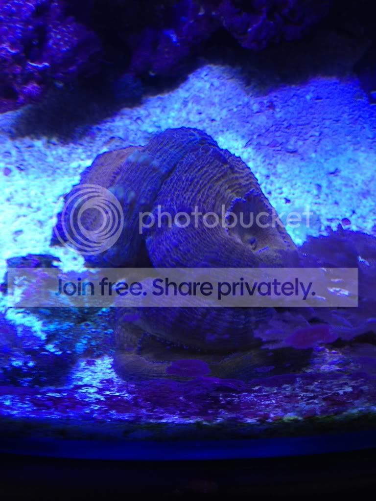 null_zpse899b0df.jpg