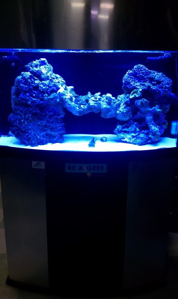 IMAG1144.jpg