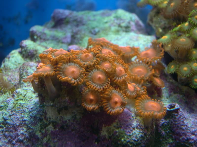 DSCN4183.jpg